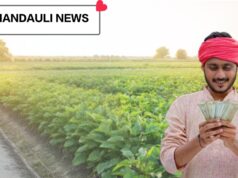 मृदा परीक्षण से बढ़ेगी फसलों की उपज : विशेषज्ञ